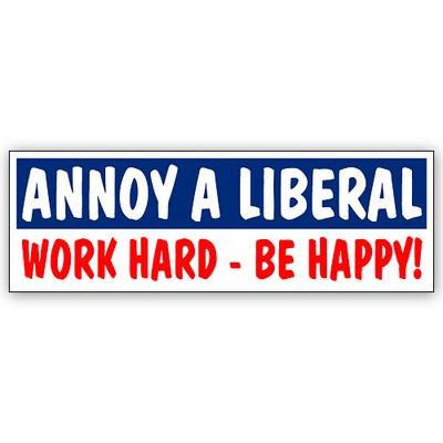 Annoy a Liberal Work Hard – Be Happy! Magnet - 1776 Patriot Shop