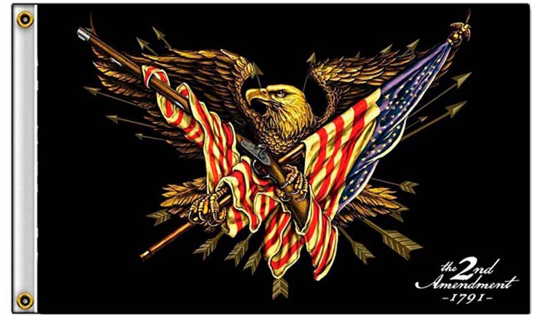 | 1776 | 1791 patriot shops american bald eagle flying with an american flag draped over rifles and a pistol, against a black background, with 'the 2nd amendment 1791' text in the corner—conveys gun-rights symbolism.